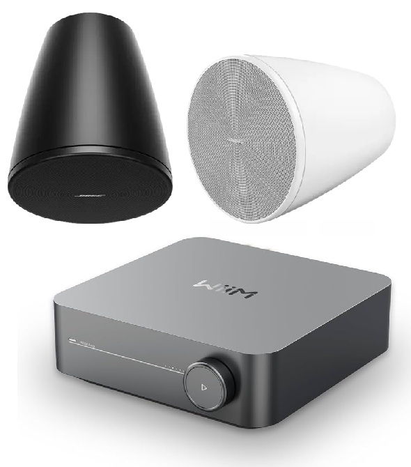 Bose DM5PE + Wiim Amp