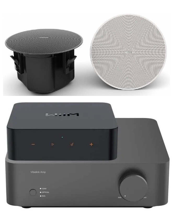 Bose DM6C + Wiim Vibelink Amplifier with Wiim Streamer Pro