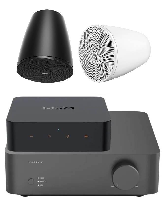 Bose DM6PE + Wiim Vibelink Amplifier with Wiim Streamer Pro