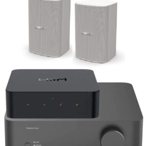 Bose DM6SE + Wiim Vibelink Amplifier with Wiim Streamer Pro - Thumbnail Image 1