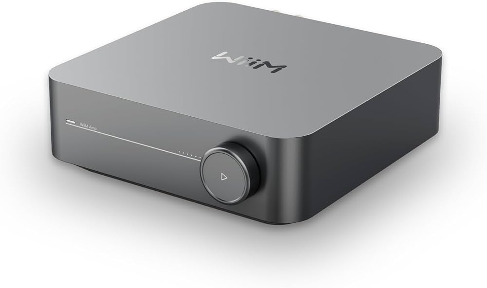 Bose DM5PE + Wiim Amp - Image 3